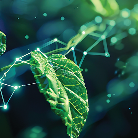 Embracing Sustainability in IT: How Green Practices Can Benefit Your Business - KORTEK